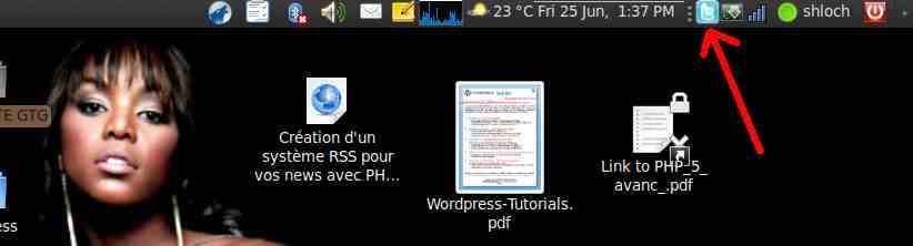Ic&ocirc;ne de Qwite dans la barre des menus